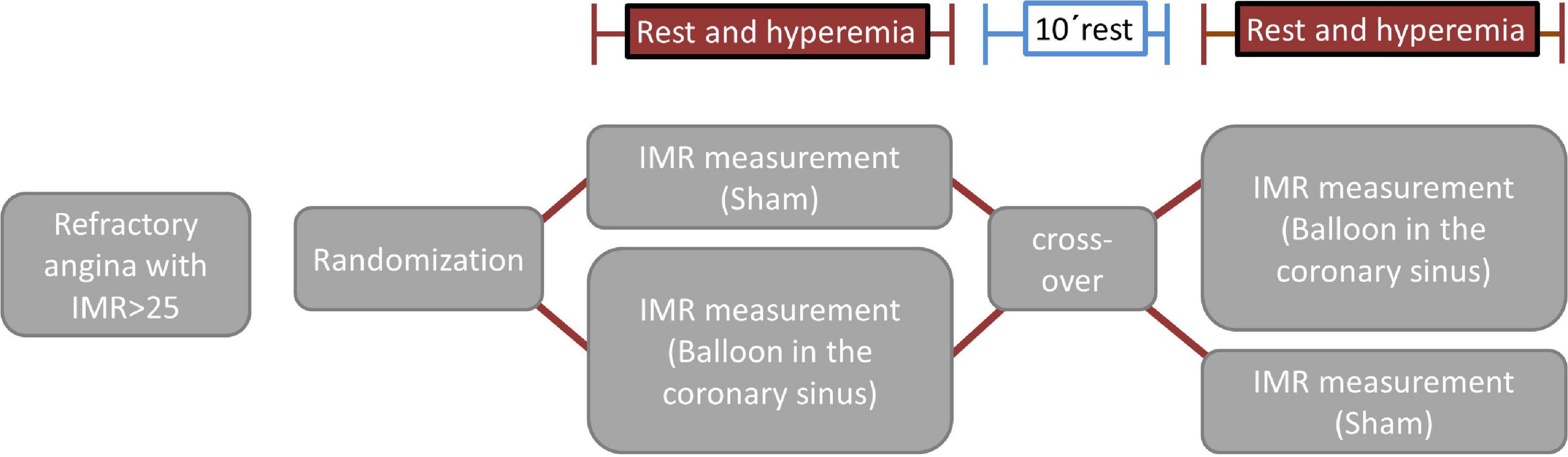 Randomized, crossover, controlled trial on the modulation of cardiac coronary sinus hemodynamics to develop a new treatment for microvascular disease: Protocol of the MACCUS trial